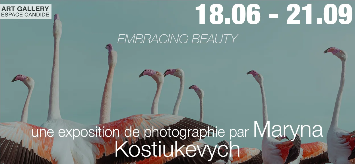 image Embracing Beauty